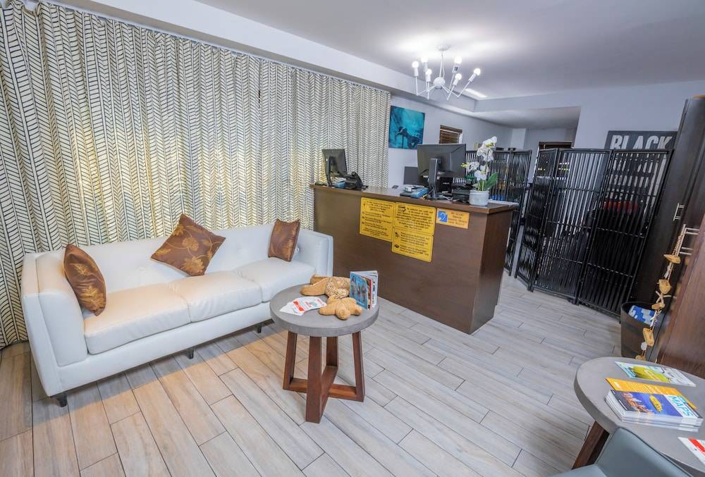 Seaside All Suites Hotel - photo 2