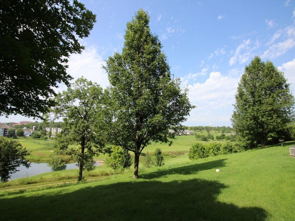 Daydreamer Beautiful Views & Location - photo 25