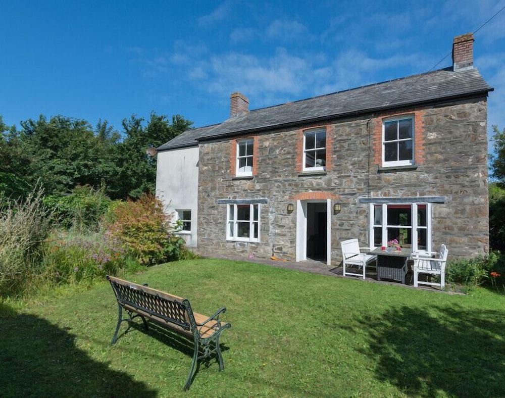 Conifers in Wadebridge, United Kingdom