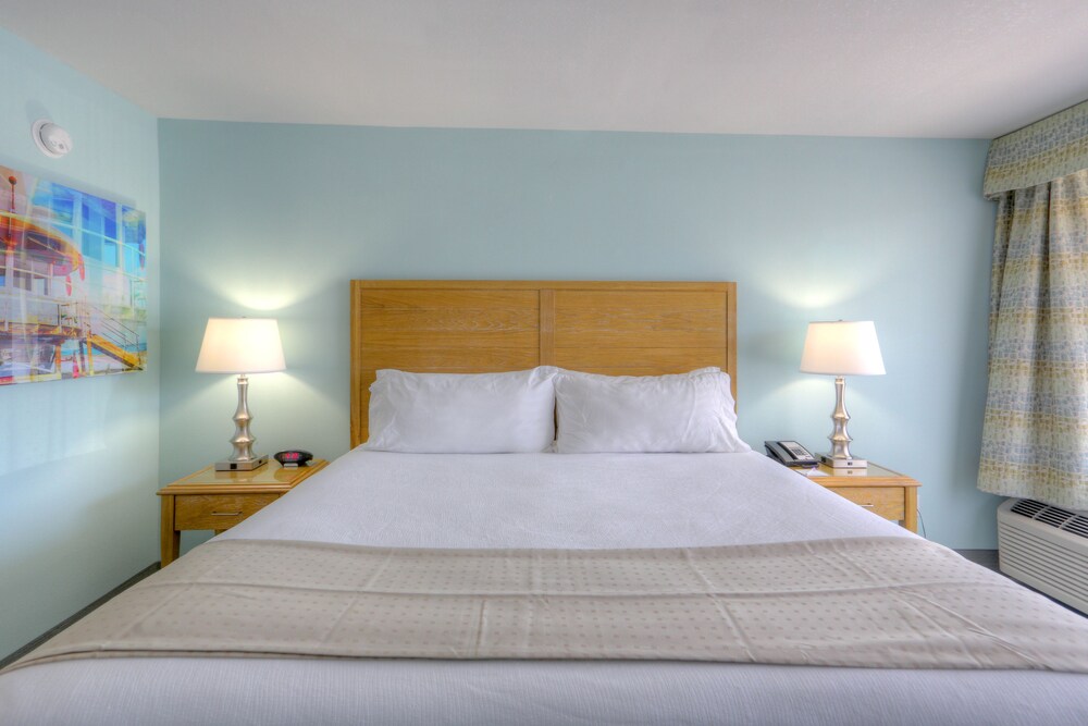 Holiday Inn Resort Jekyll Island by IHG - photo 28