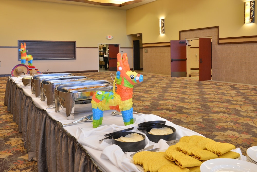 Holiday Inn Stevens Point Convention Ctr by IHG - photo 39