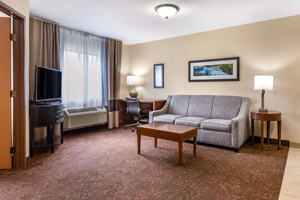 Comfort Inn Okemos East Lansing - photo 20
