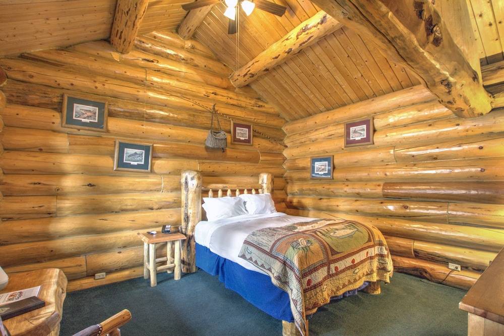 The Hibernation Station - photo 2