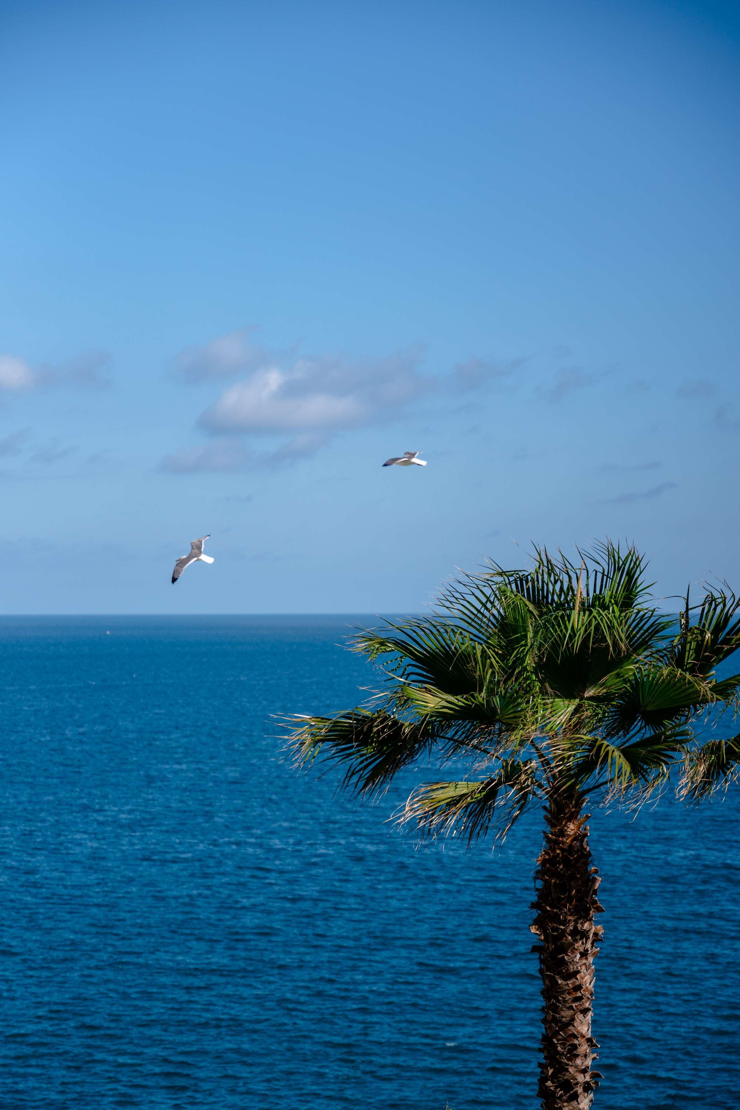 Excelsior Palace Portofino Coast in Rapallo, Italy