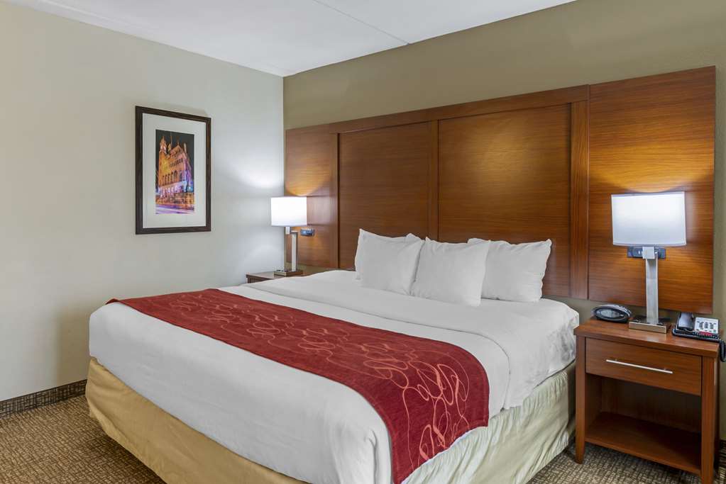 Comfort Suites At Virginia Center Commons - photo 31