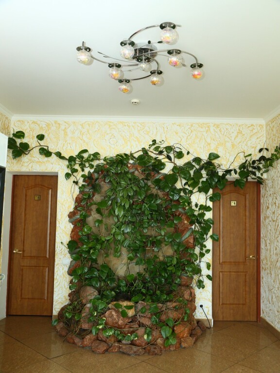 Mazhestik Hotel — Alushta — photo 2