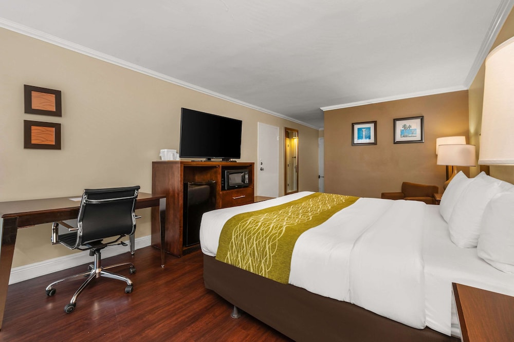 Comfort Inn Oceanside Deerfield Beach - photo 29