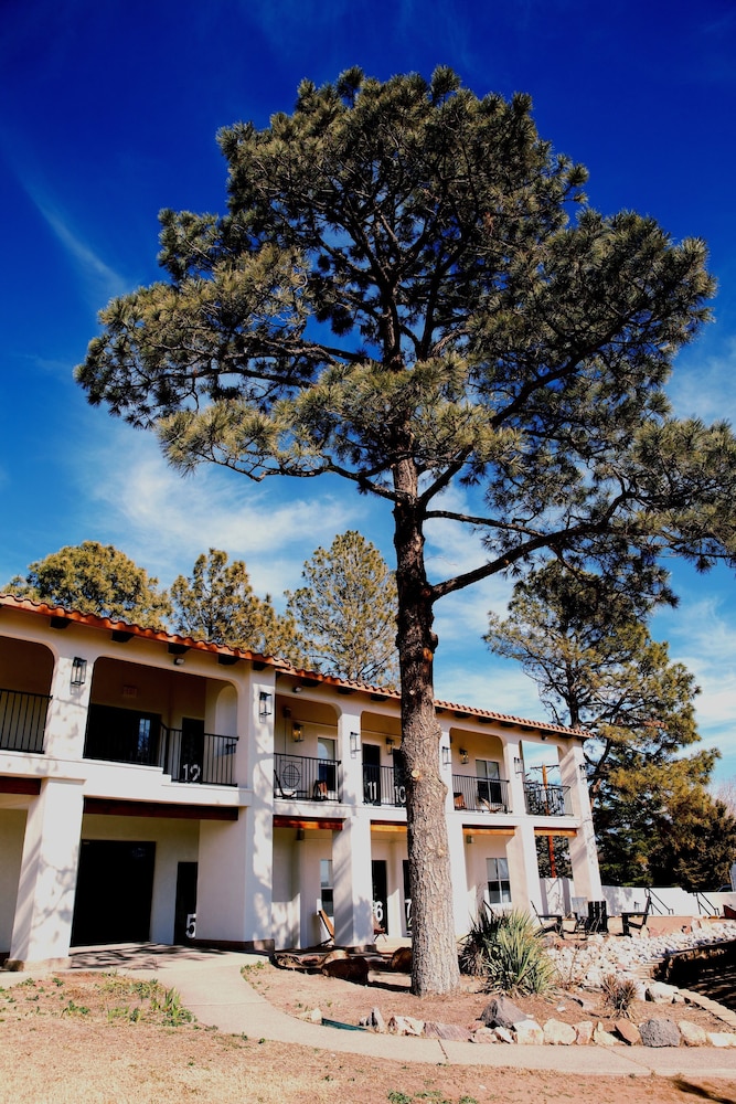 El Verde Inn - photo 28