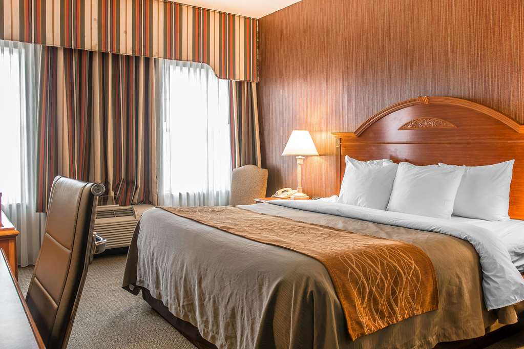 Comfort Inn Chelsea MI - photo 8