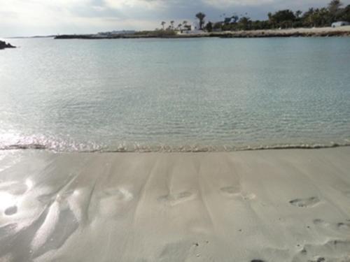 Nissi Sandy Bay C09