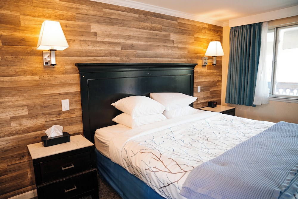 Salida Inn & Monarch Suites - photo 23