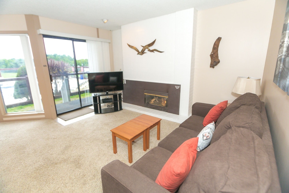 The Grey Gull - photo 296