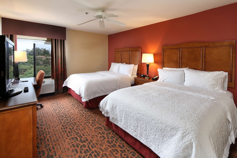 Hampton Inn & Suites Tucson Mall - photo 13