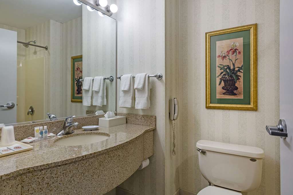 Comfort Inn & Suites East Greenbush Albany - photo 26