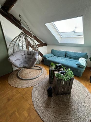Jungle Cosy — Louviers