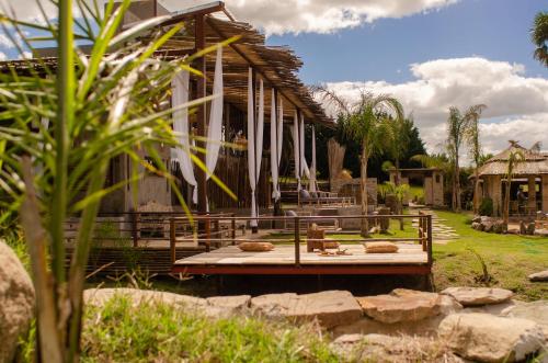Ginger and Coco in Tandil, Argentina