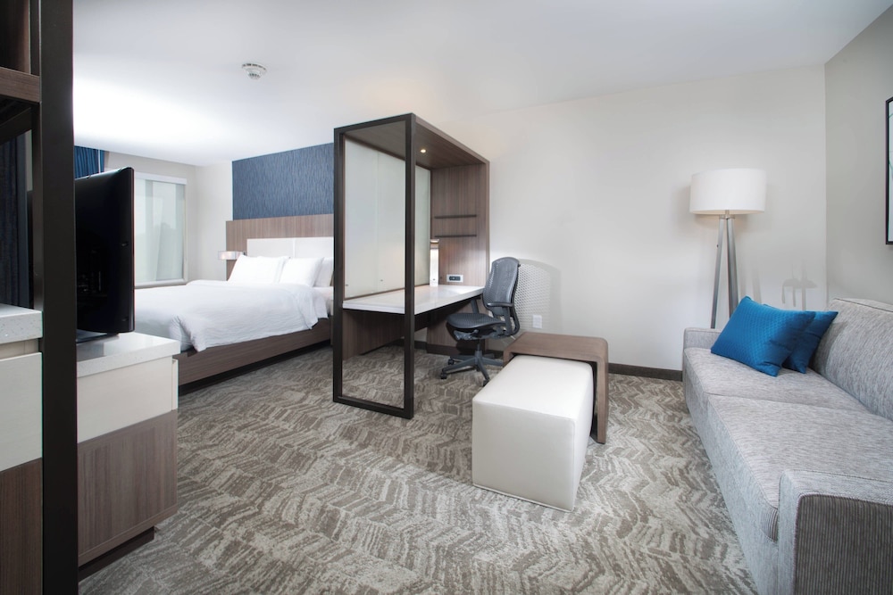 SpringHill Suites by Marriott Fayetteville Fort Bragg - photo 11