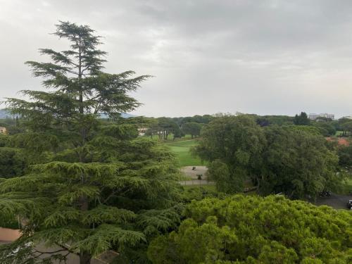 14471 Location Meublee 2 Pieces - last minute hotel in Mandelieu-La-Napoule