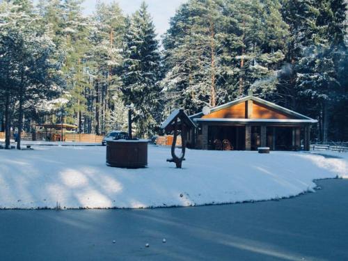 Vanago Lizdas — Druskininkai — photo 2