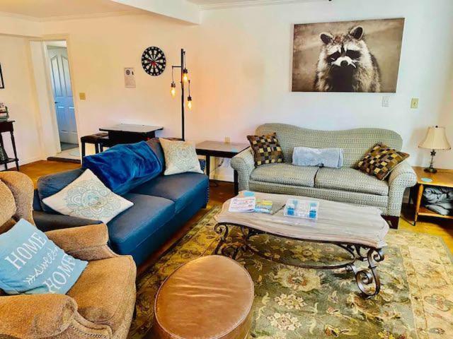 Raccoon Hideout Hot Tub BBQ Arcade Darts in Oakhurst, United States