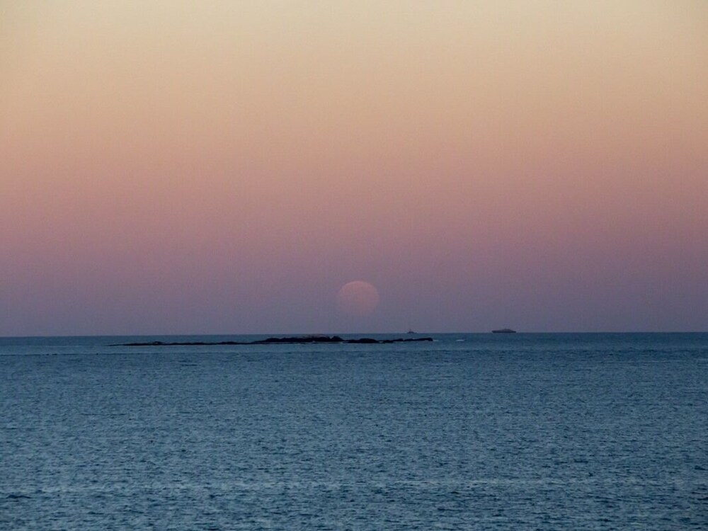 The Quarterdeck Inn By The Sea - photo 8