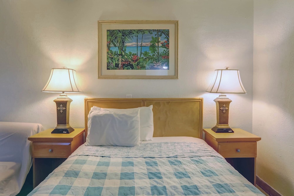Richard's Motel - photo 33
