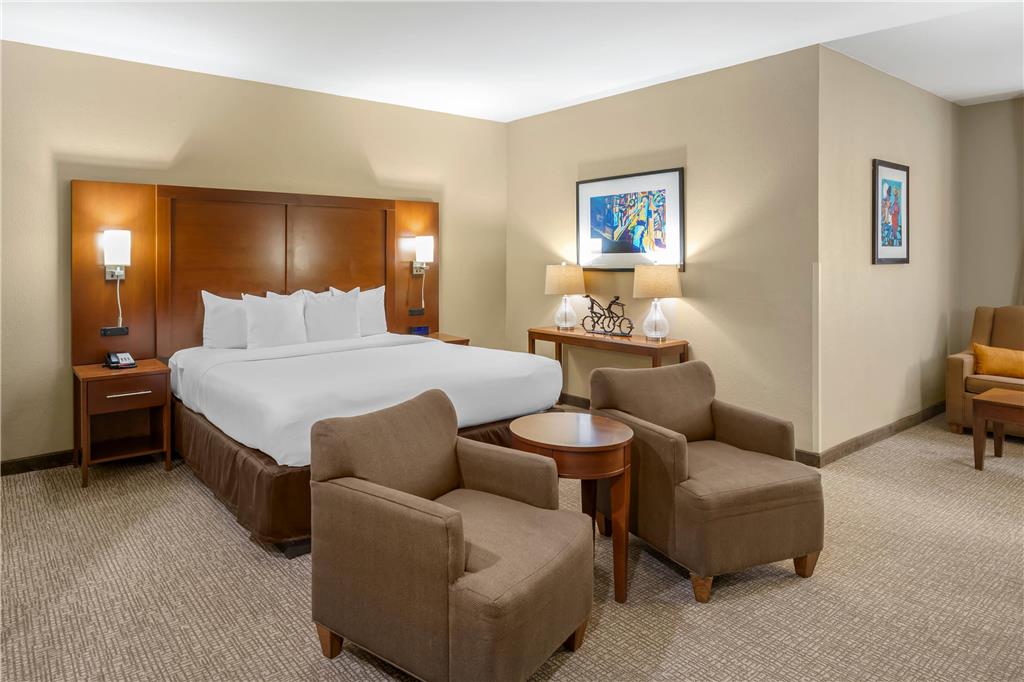 Comfort Inn Memphis Downtown - photo 12