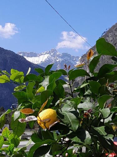 Affittacamere Mountain in Chiusaforte, Italy