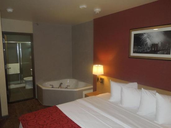 Hotel Lynx - photo 12