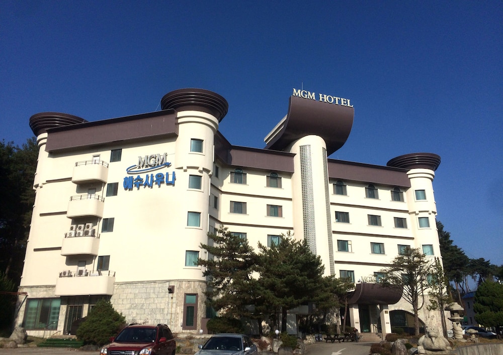 Mgm Hotel — hotel in Gangneung