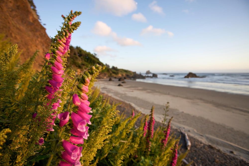 Inn at Cannon Beach - photo 49