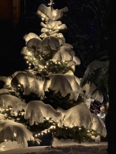 Domek Pod Trójmorskim Wierchem in Miedzylesie, Poland