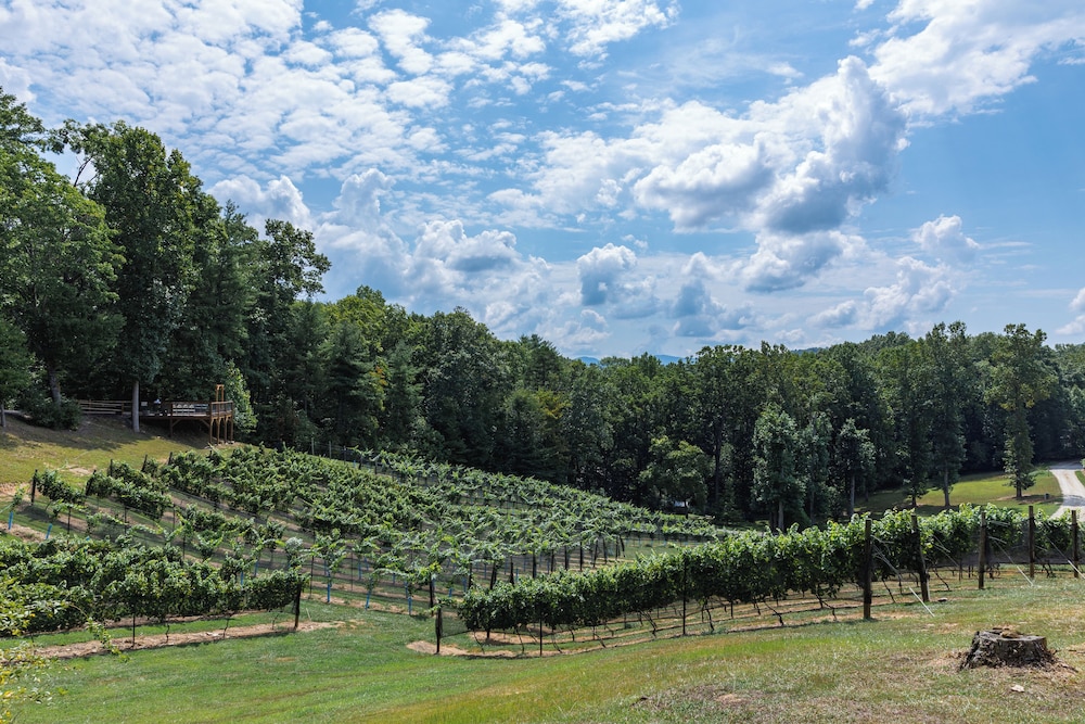 Paradise Hills Winery Resort & Spa - photo 297
