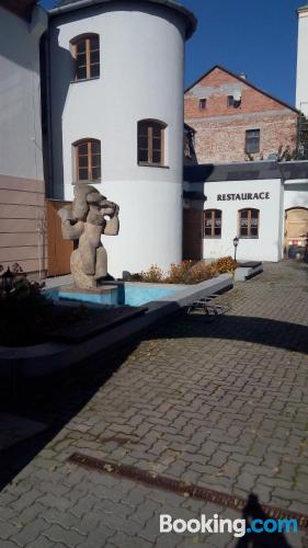 Penzion U Starého Mlýna — hotel in Litovel