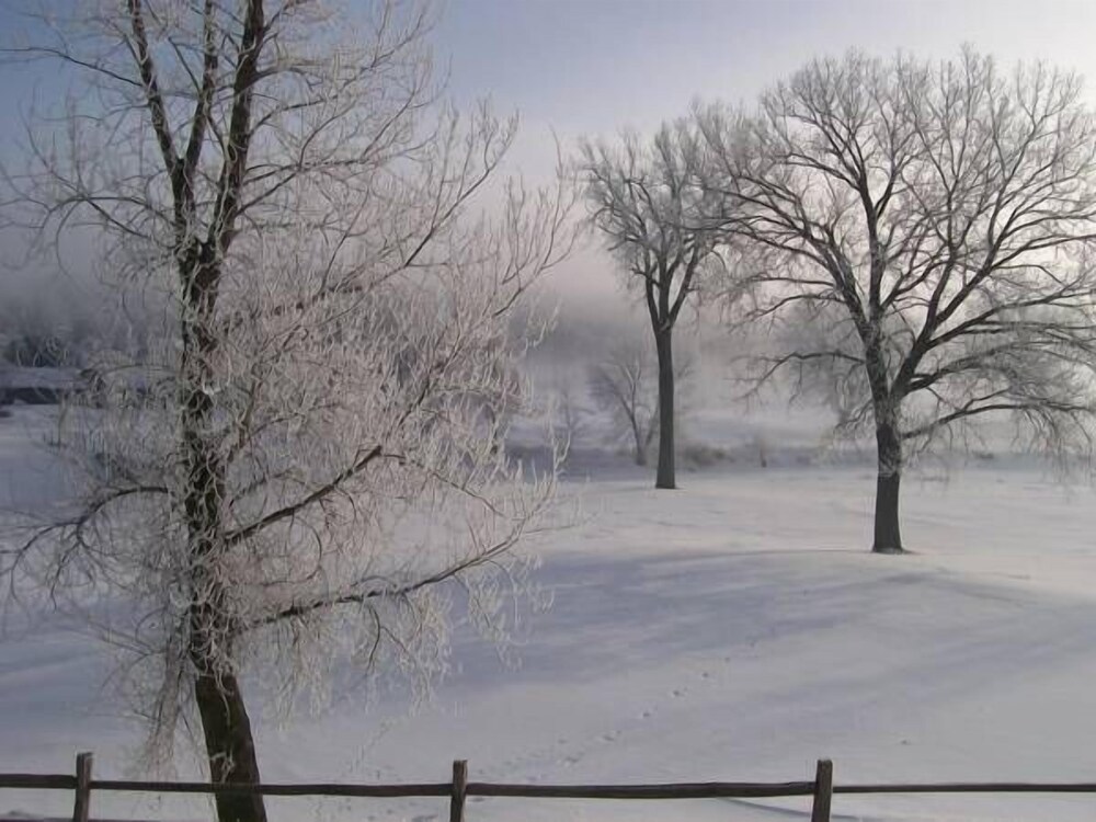 The Lodge Resort Hotel - photo 23