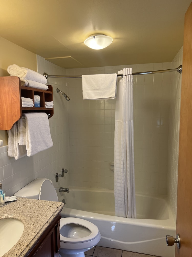 All Star Inn & Suites - photo 344