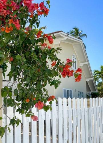Casa Alegria Beach Cottage — 4-Star Luxury Hotel in Las Terrenas, Dominican Republic