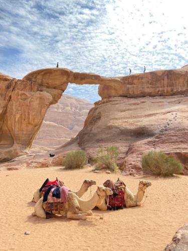 Bedouin Desert Cave in Wadi Rum, Jordan