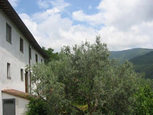 Bellosguardo — hotel in Calci