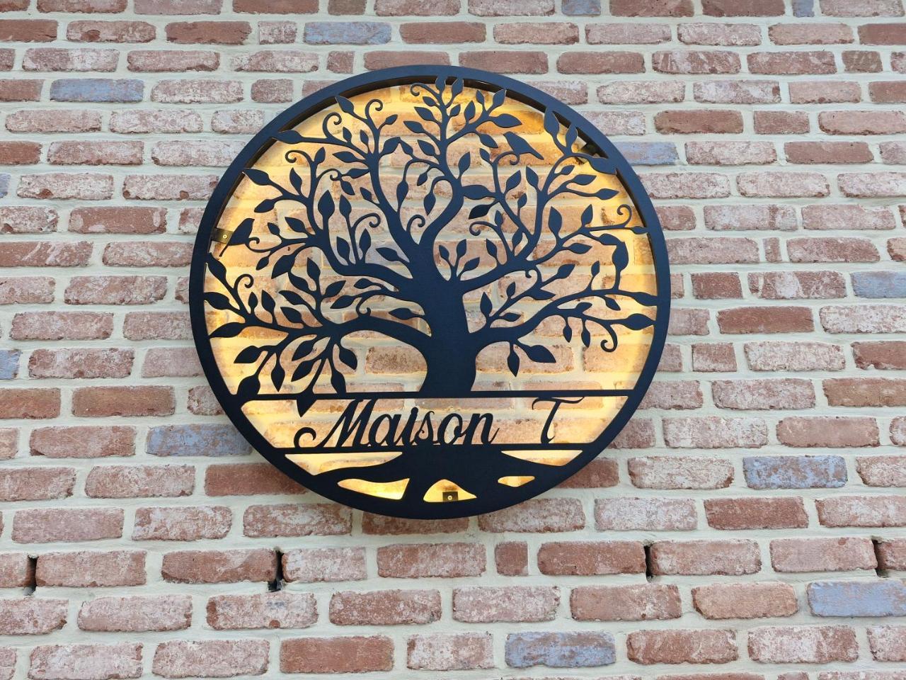 Maison T — Flobecq — photo 3