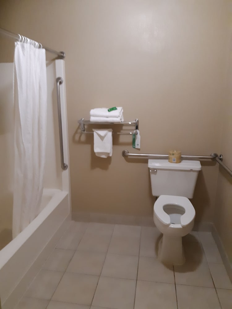 Lavissh Inn & Suites - photo 13