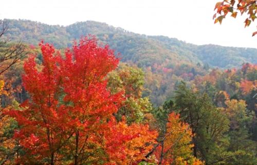 Treetops - carbon neutral hotel in Sevierville
