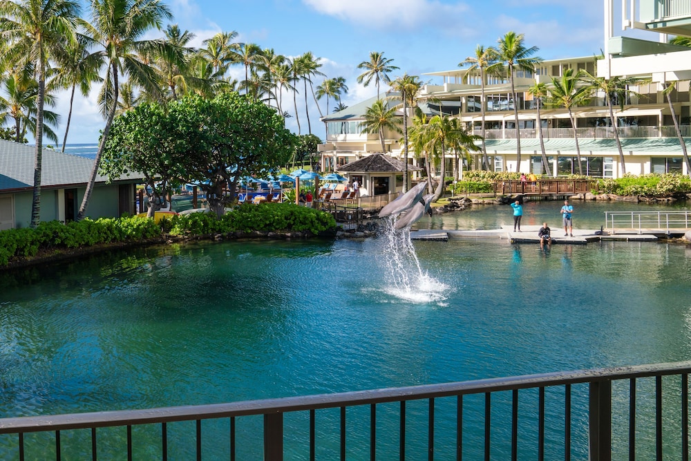 The Kahala Hotel & Resort - photo 64