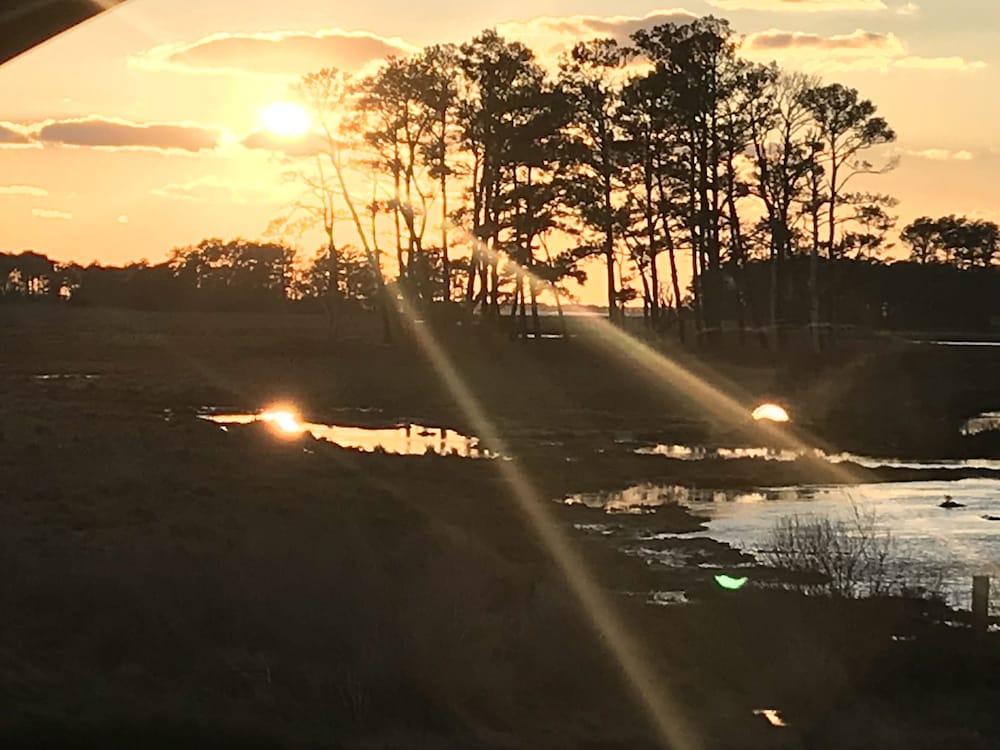Chincoteague Inn - photo 24