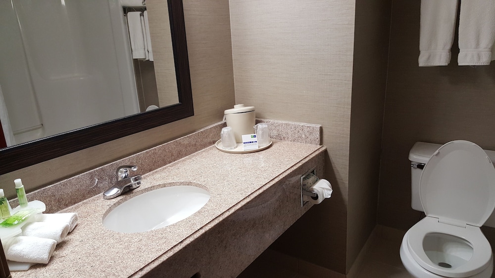 Holiday Inn Express Hotel & Suites Waterford by IHG - photo 11