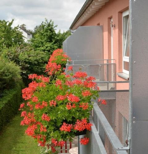 Pension Sankt Veit — Bad Staffelstein — photo 2