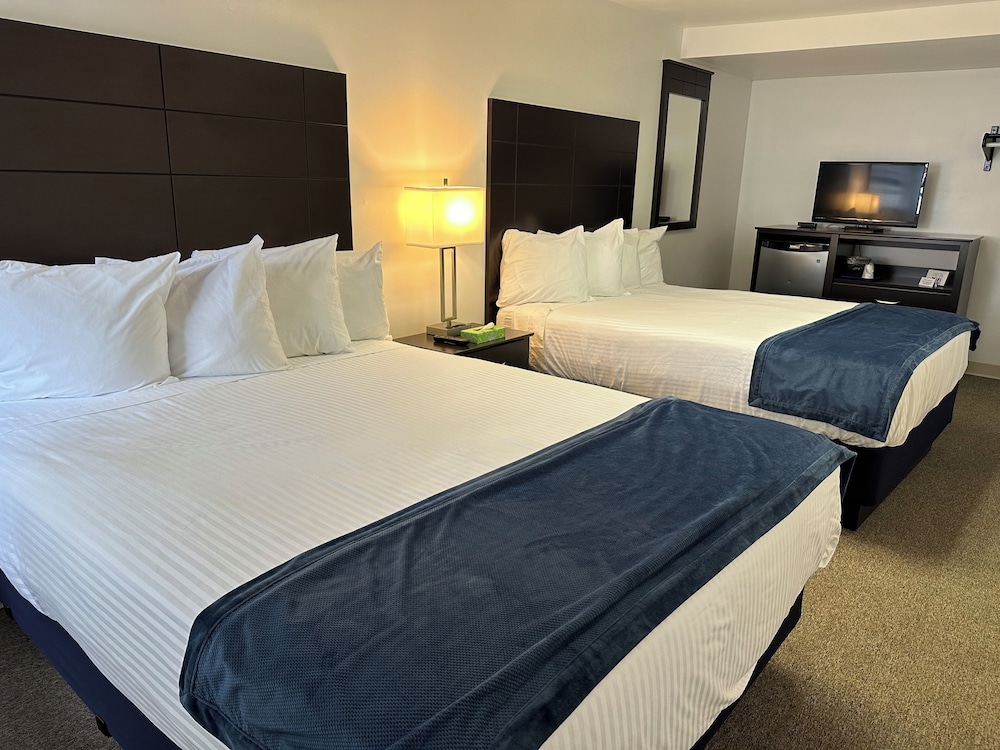 The Wellington Hotel & Suites Oceanblock - photo 31