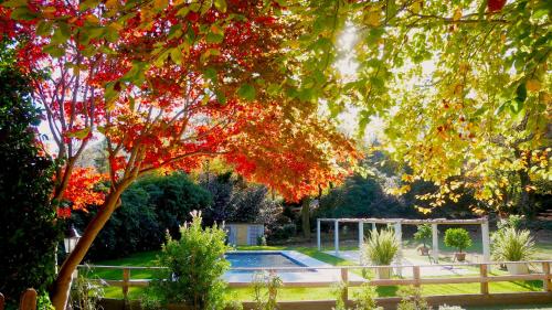 Eco Resort Parco Botanico Fiorlago — hotel in Mergozzo