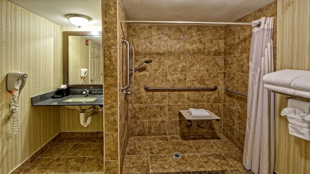 Clarion Hotel & Suites Conference Center Memphis Airport - photo 25
