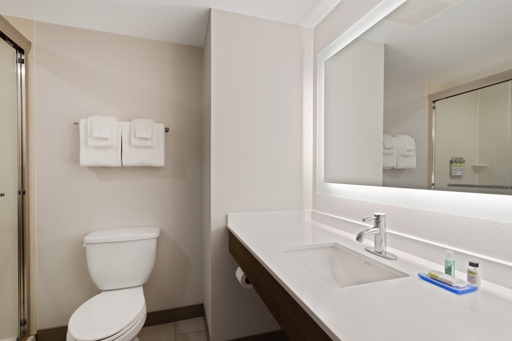 Holiday Inn Express Hotel & Suites Largo Clearwater by IHG - photo 15